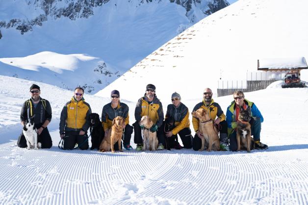 Sieben Rettungshundeteams nehmen am Training teil. 