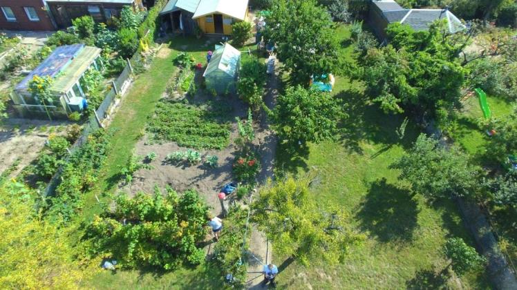 Die Pacht für Kleingärten in Zarrentin steigt gewaltig an. Dazu äußert sich nun der Regionalverband der Gartenfreunde Südwest-Mecklenburg.
