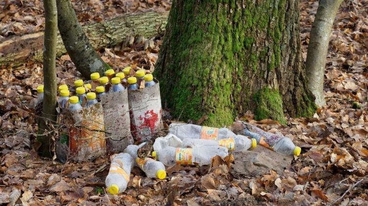 Die Müllablagerungen in Brandenburgs Wälder nehmen immer weiter zu.