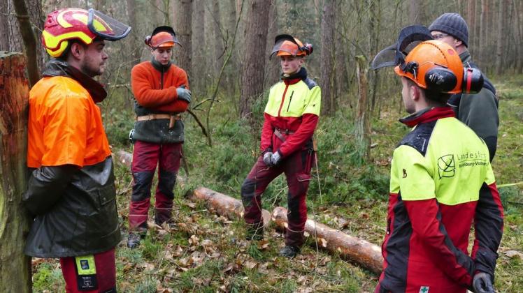 Während einer Besprechungspause geht es auch immer um die Sicherheit beim Holzeinschlag. Ausbildungsmeister Tim Hagemann (l.) belehrt die angehenden Forstwirte.