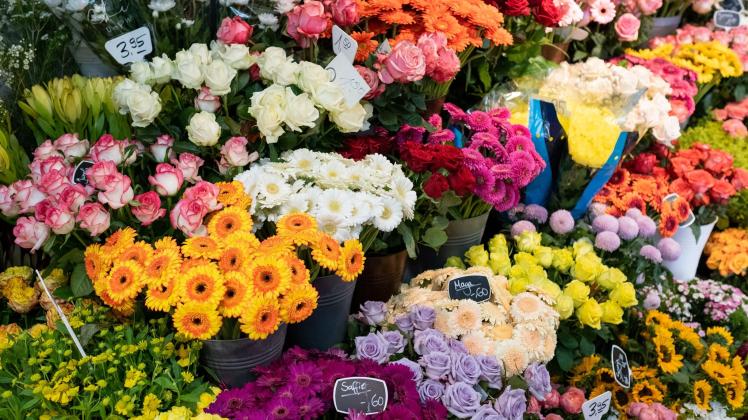 Blumenhandel