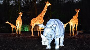 Leuchtende Tiere im Rostocker Zoo, fotografiert von Zoo-Fotograf Joachim Kloock.