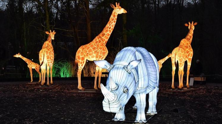 Leuchtende Tiere im Rostocker Zoo sind bis zum 26. März zu bewundern.