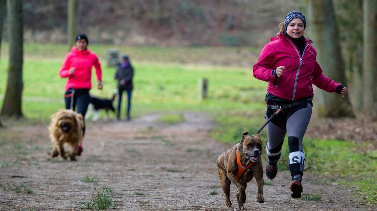 Hunde-Triathlon
