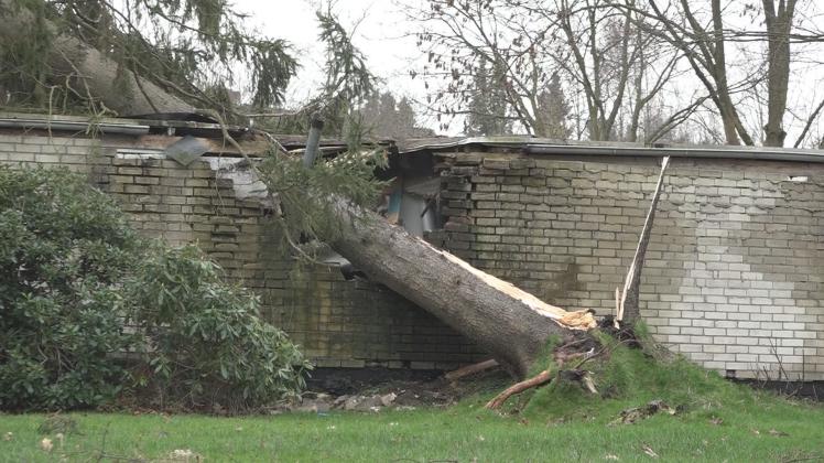 Neben dem Düsternorter Marktplatz ließ eine Sturmböe einen großen Baum auf einen Garagenkomplex stürzen.