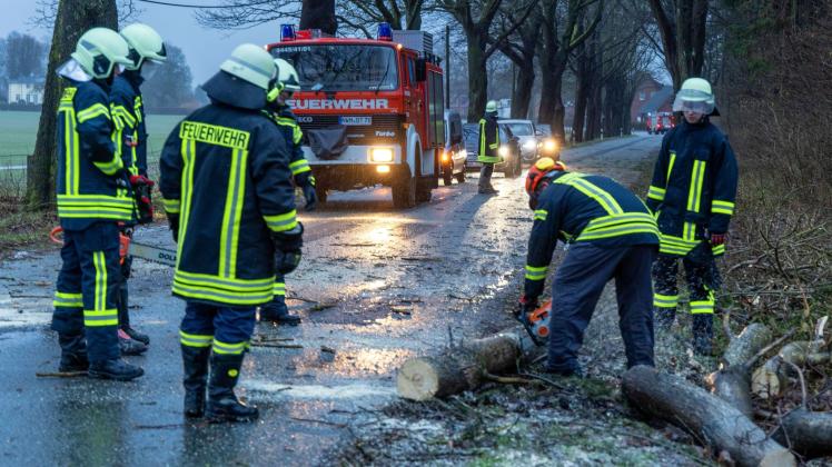 Die Feuerwehr räumt einen umgestürzten Baum von einer Straße