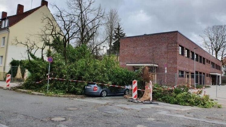 Am Schölerberg in Osnabrück ist ein Baum auf ein Auto gestürzt.