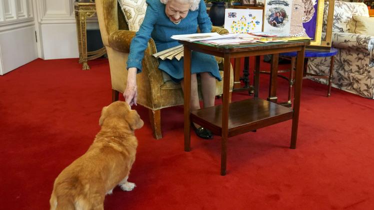 Queen Elizabeth II mit Corgi