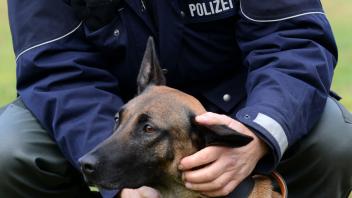 NRW-Innenministerium veröffentlicht Zahlen zu Polizeihunden