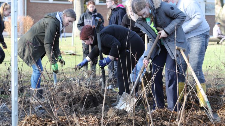 Lindenschule Buer pflanzen Miyawaki-Wald 