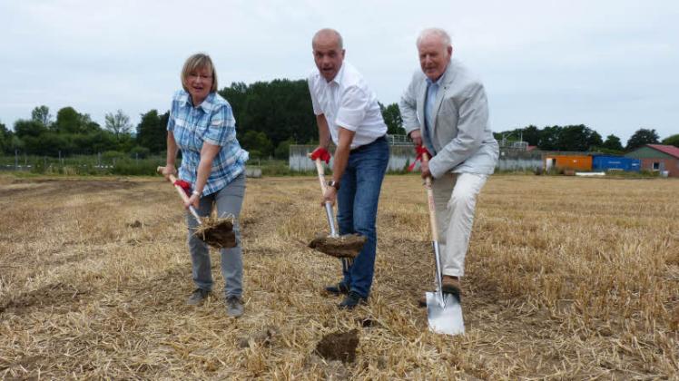 Schilf macht aus Klrschlamm Dnger