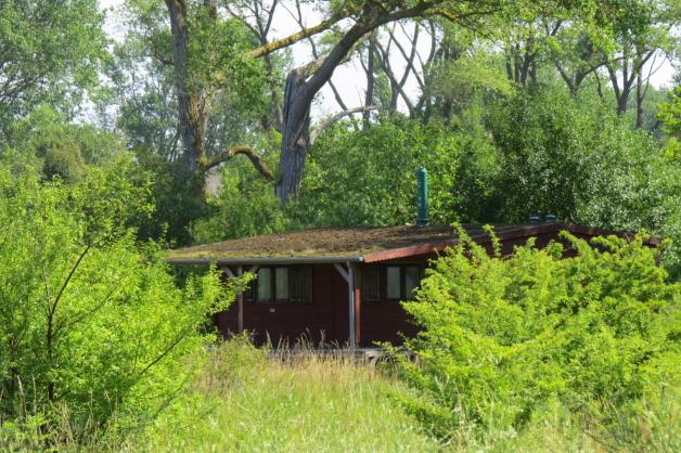 Die Hütte in der Günther Uecker wohnte Die Hütte in der Günther Uecker wohnte