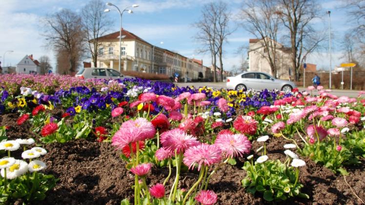 In diesem Jahr wurden in Parchim 4400 Frühblüher und anschließend 3544 Sommerblumen auf öffentlichen Anlagen gepflanzt. Fotos: Wolfried Pätzold