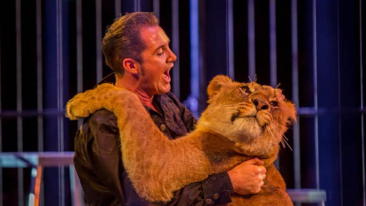 Circus-Krone-Dompteur Martin Lacey: Wildtiere im Zirkus provozieren teilweise heftige Proteste. 