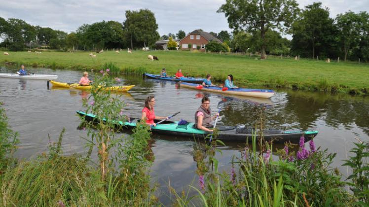 Erholung auf dem Wasser: Die KGW-Damen paddeln flussaufwärts durch Wilster.   