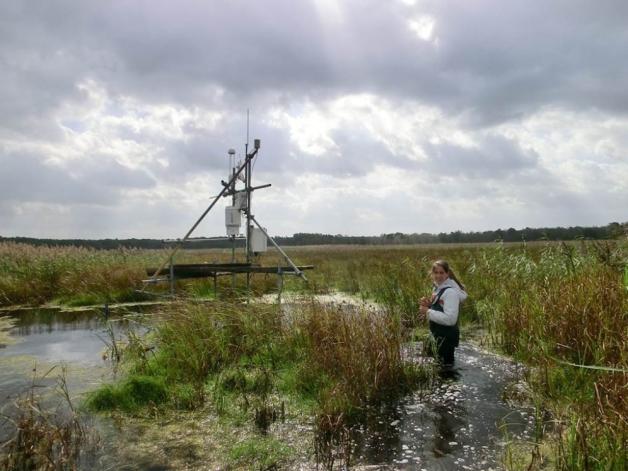 Der Messturm im Naturschutzgebiet Heiligensee und Hütelmoor liefert Patrizia Ruiz de Vinaspre wertvolle Daten über den Methan und CO2-Ausstoß.