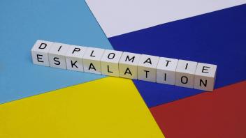 Diplomatie und Eskalation Diplomatie und Eskalation, 24.02.2022, Borkwalde, Brandenburg, Auf den Fahnen der Ukraine und