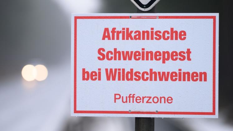 Afrikanische Schweinepest (ASP)
