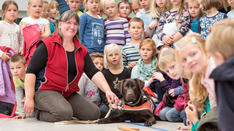 Labrador-Hündin Maggy, die gerade ihre Ausbildung als Blindenhund bei Aniko Ebersberger absolviert, war gestern der absolute Star in der Rostocker Grundschule John Brinckman.