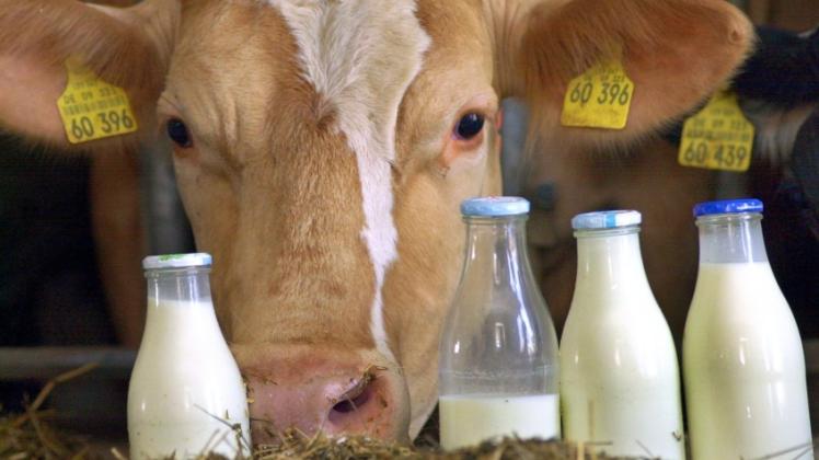 Nur noch 28 Cent bringt der Liter Rohmilch einer Kuh derzeit den Bauern ein 