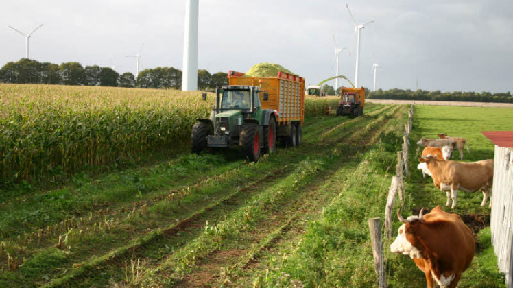 Reger Ernteverkehr: Nordfrieslands Landwirte haben in den kommenden Wochen viel zu tun. 
