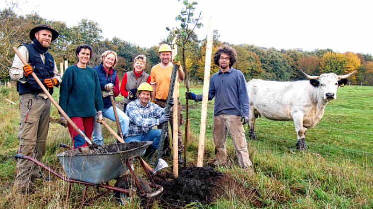 Ganze Arbeit geleistet: Bergwaldprojekt-Freiwillige aus ganz Deutschland halfen eine Woche lang beim Bäumepflanzen in der Arche Warder.