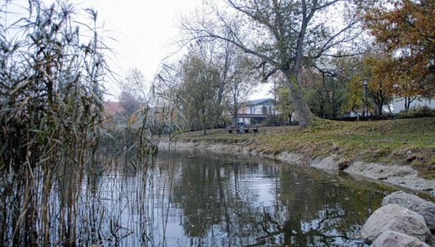 Der Dorfteich lädt selbst im Herbst und Winter zu einer kleinen Verschnaufpause vom stressigen Alltag ein. Der Dorfteich lädt selbst im Herbst und Winter zu einer kleinen Verschnaufpause vom stressigen Alltag ein.