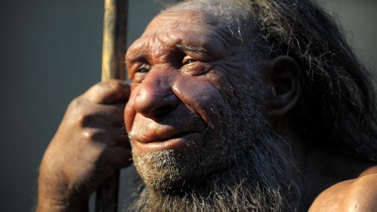 Die Neandertaler sind schon lange ausgestorben.  