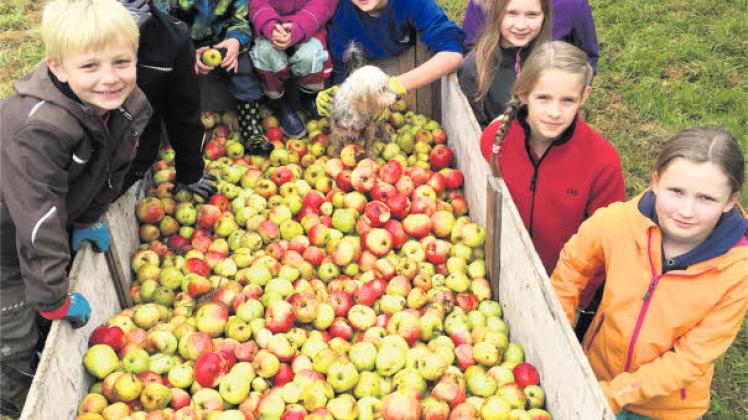 Kinder des Kinderschutzbundes Malente hatten auf dem Truppenübungsplatz in Sasel so viele Äpfel gesammelt, wie sie tragen konnten.  