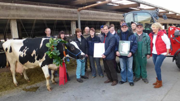 Kam zu höchsten Ehren: 100 000 Liter-Kuh Coralie aus der 300er Herde der Agrarproduktivgenossenschaft Viesecke.