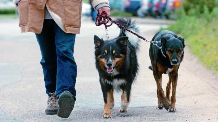Auch in Zukunft wird die Gemeinde Karby Hundesteuer erheben. 