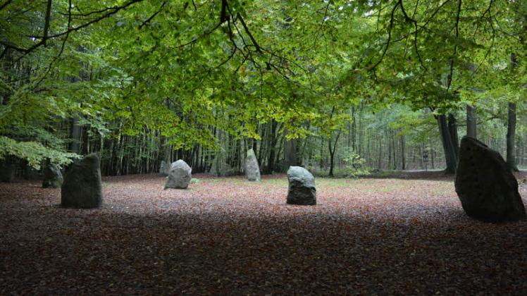 Der Boitiner Steintanz verbirgt sich auf einer Lichtung mitten im Wald.  