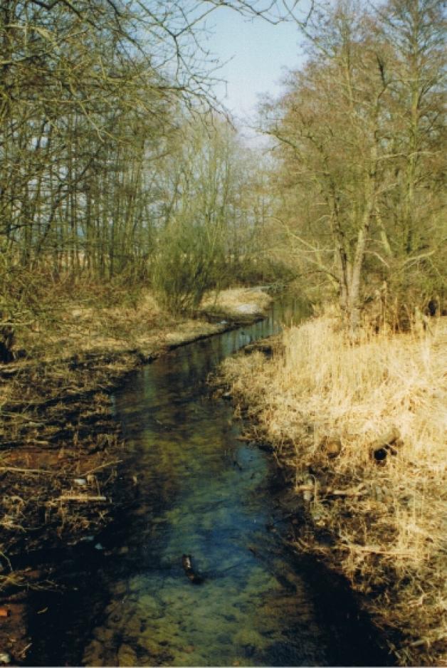 Namensgeber: Der Fluss Gehlsbach im Naturschutzgebiet 