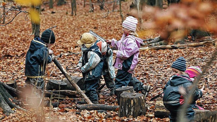 Die Einrichtung eines Waldkindergartensist in Ascheffel zum 1. Februar geplant. 