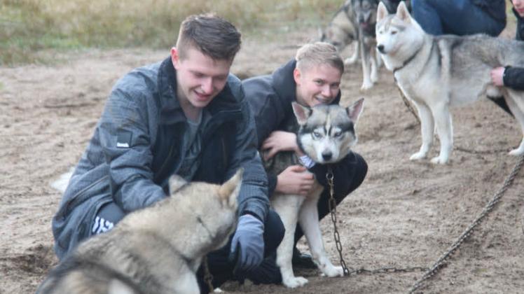 Erfahrene Schlittenhundesportler: Felix Kuchendorf und Tom Stoltenberg sind beide bereits seit sieben Jahren regelmäßig auf der Huskyfarm und trainieren inzwischen in der Leistungsgruppe. Zu den Hunden haben sie enge Bindungen aufgebaut. 