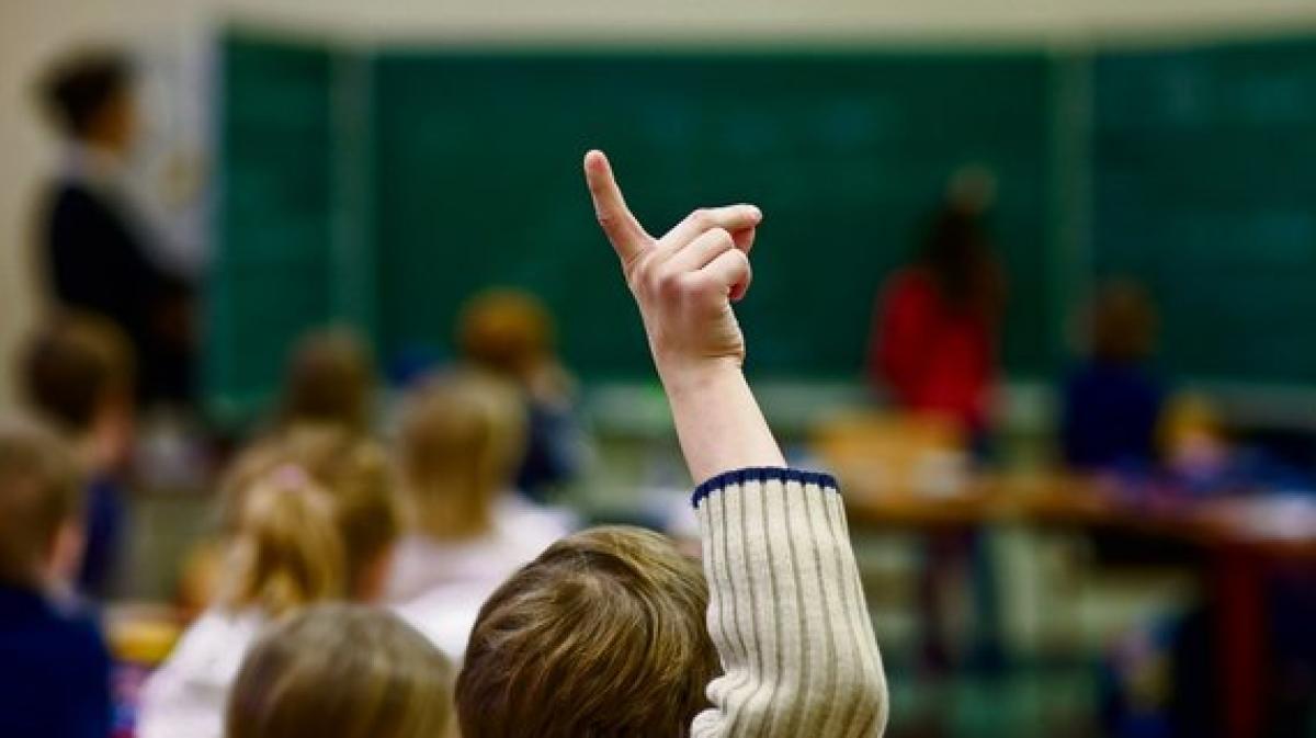 Gymnasium zu schwer 1346 Schüler schmeißen hin SHZ