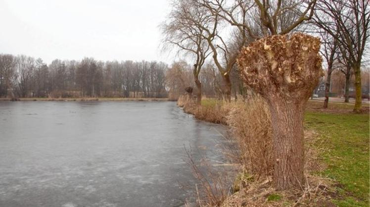 Neuer Fleth Zuschütten oder baggern SHZ
