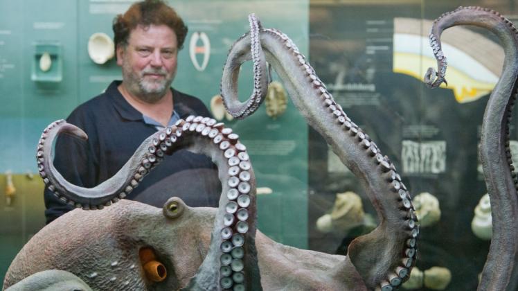 Meeresmuseums-Chefpräparator Uwe Beese mit  der  Dokumentarplastik einer Krake