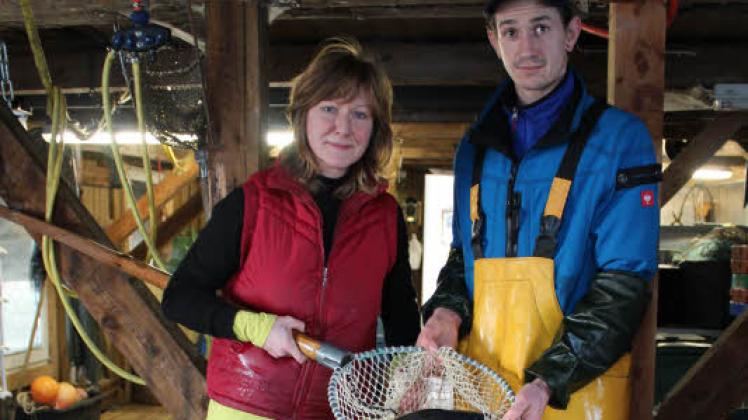 Für die Schaalsee-Fischerin Diana Rehbohm und Philipp Eberle, ihrem Mitarbeiter, ist jetzt die hohe Karpfenzeit. Nach Silvester sinkt die Nachfrage dann etwas.  