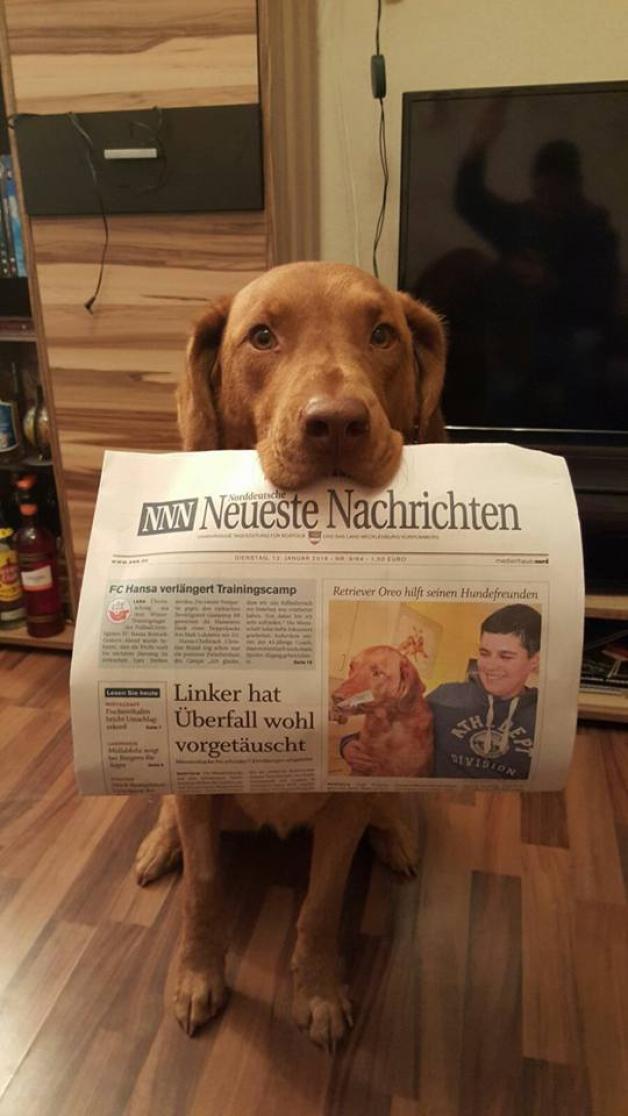 Hund Oreo mit der heutigen Zeitungsausgabe.