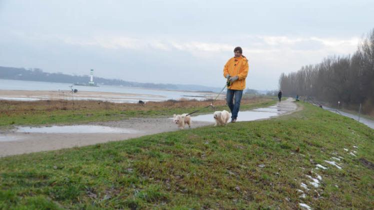 Landesschutzdeich in Kiel-Friedrichsort (im Hintergrund der Leuchtturm): Bis 2020 muss er verstärkt werden. 