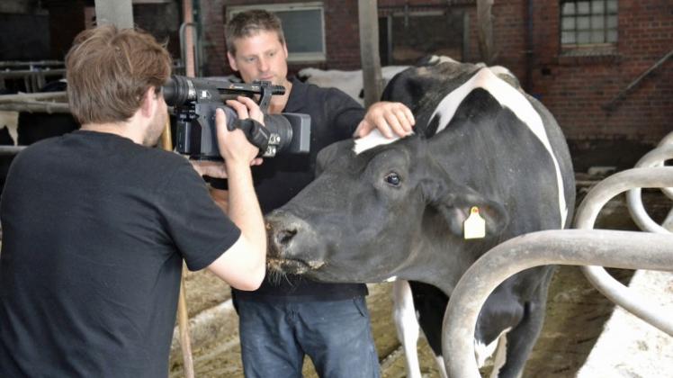 Tiere vor der Kamera: Landwirt Andreas Lohmöller aus Listrup hat eine enge Beziehung zu seinen Kühen. 
