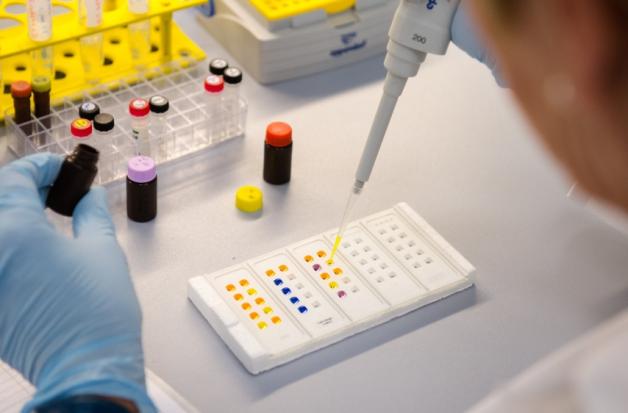 Eine Labormitarbeiterin untersucht eine Probe mit Antikörpern. 