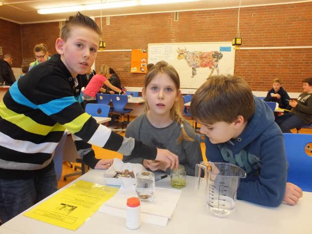 Mit Lars und Timo, die bereits Schüler der Elbschule sind, macht Nina von der Grundschule Wewelsfleth ihre ersten naturwissenschaftlichen Experimente. Mit Lars und Timo, die bereits Schüler der Elbschule sind, macht Nina von der Grundschule Wewelsfleth ihre ersten naturwissenschaftlichen Experimente.