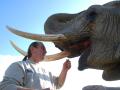 Sonni Frankello (57) begegnet seinen Elefanten seit Jahrzehnten auf Augenhöhe. 