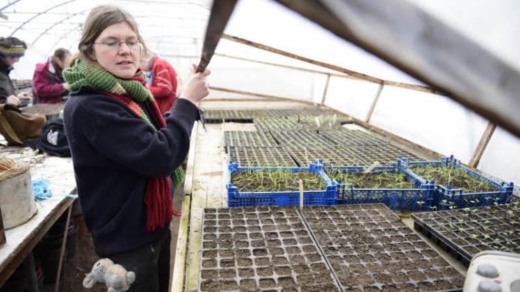 Biogärtnerin Marie Runge  gibt Tipps zum Gartenbau.