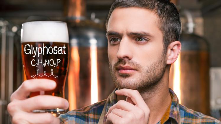 Rein oder doch nicht rein: Wie giftig ist Bier, wenn man über 1000 Liter davon trinken muss, damit die Schadstoffe wirken?  