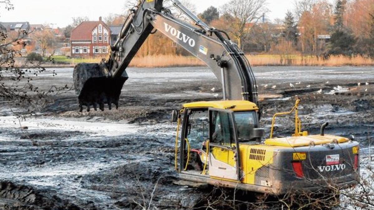 40+ Cösitz Schlamm Teich, Die entfernung von teichschlamm zählt zu