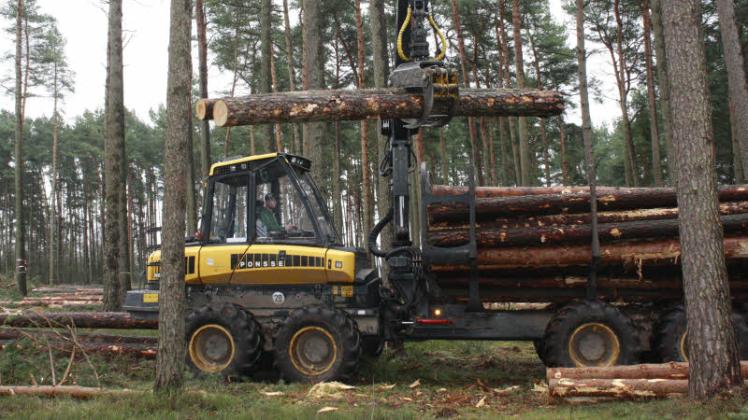 Forstwirt Tom Graf steuert den Rückezug in einem Waldstück im Revier Dadow. Fotos: Michael Seifert Forstwirt Tom Graf steuert den Rückezug in einem Waldstück im Revier Dadow. Fotos: Michael Seifert