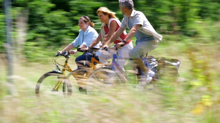 Tour durch die Natur: Mit dem Fahrrad lässt sich die Region zwischen Mildenitz und Plauer See am besten erkunden.   